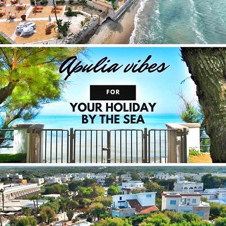לינה וארוחת בוקר טורה קאנה Aurelia Sea View מראה חיצוני תמונה