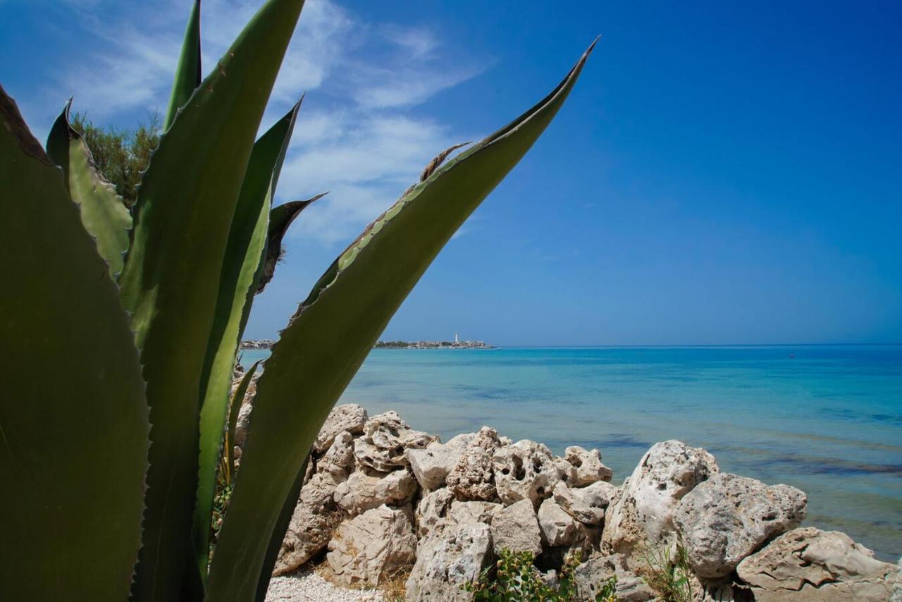 לינה וארוחת בוקר טורה קאנה Aurelia Sea View מראה חיצוני תמונה